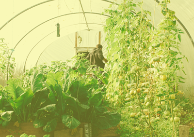 Resilient Agriculture Story: Sap Bush Hollow Farm (2013)